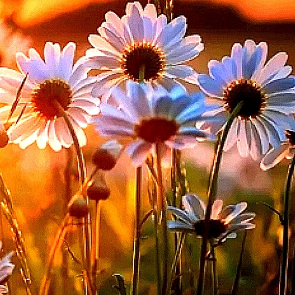 COPY - 🐇IMPT OFFER INFO⬇️🐇READ BELOW FOR PRICE & CLOSET INFO - Picture 2 of 15